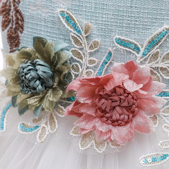 Fancy Embroidered Flower wedding birthday dress - Picture 5 of 7